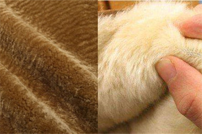 【图】羊剪绒大衣与皮毛一体的区别 教你简单方法辨别_羊剪绒_伊秀服饰网|yxlady.com